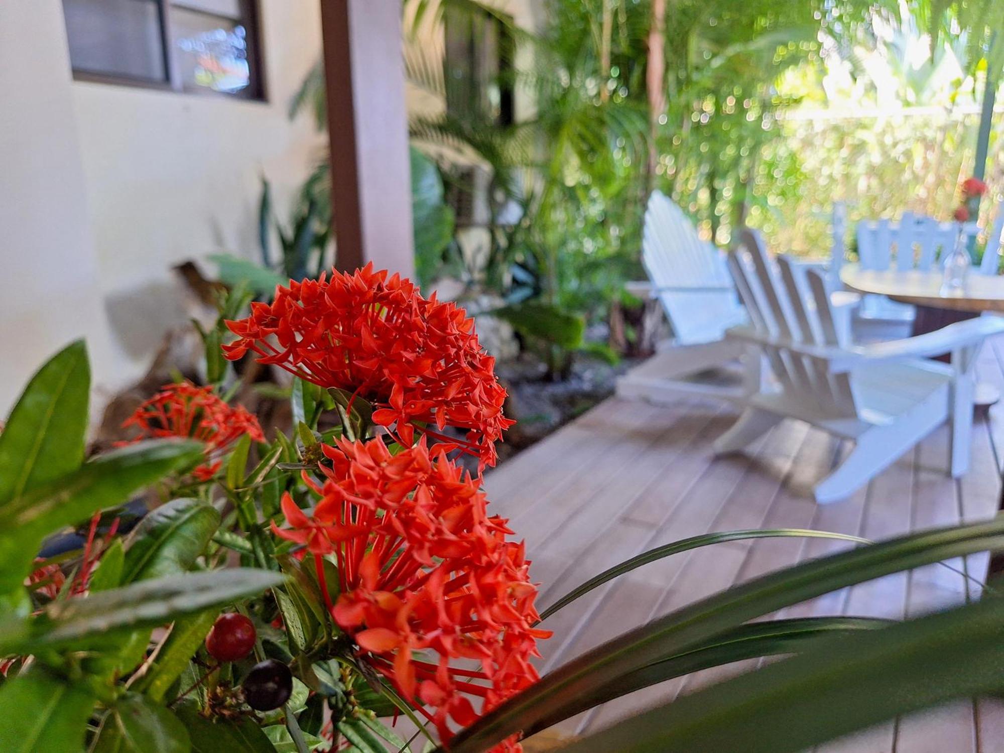 Infiniti Hotel Puerto Viejo de Talamanca Esterno foto